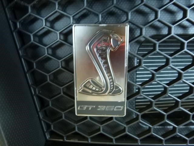 Ford Mustang Shelby GT350 en STOCK