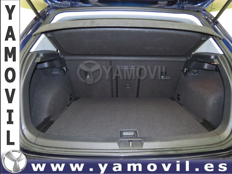 Volkswagen Golf ADVANCE 1.6 TDi 105CV