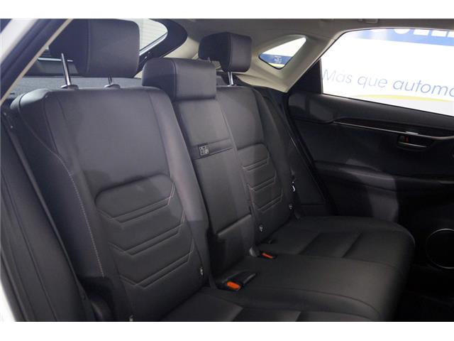 Lexus NX 300h Luxury 4WD TOPE DE GAMA FULL EQUIPE