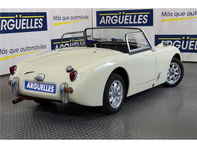 Austin Healey Sprite I