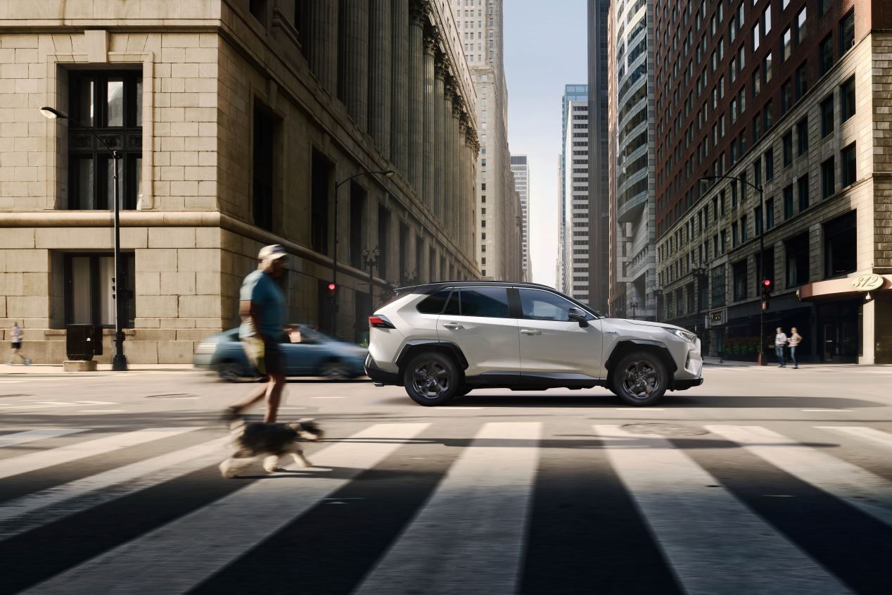 Toyota RAV4 2020: novedades de gama para el SUV