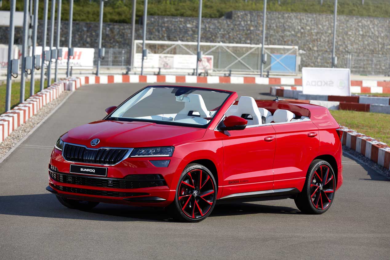 Spider skoda r17