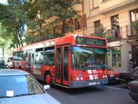 El Ayuntamiento de Madrid perfeccionará la "Operación Cono"