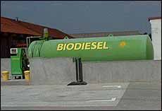 España estará a la cabeza de Europa en el empleo de biocombustibles