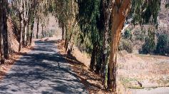 Carretera no es antónimo de medio ambiente 