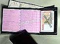 El carnet por puntos, en un año El carnet por puntos, en un año