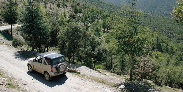 Sierra Nevada y Marquesado de Zenete
