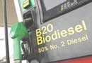 Biopetróleo, un nuevo combustible derivado del plancton