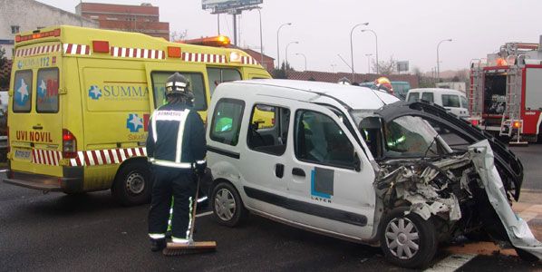 Los animales causan casi 14.000 accidentes de tráfico