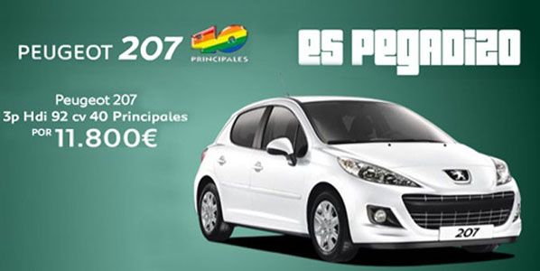 Peugeot 207 40 Principales