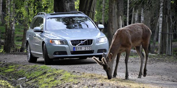 Los nuevos salvavidas de Volvo Los nuevos salvavidas de Volvo