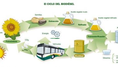 Brasil: 14.000 millones de dólares en biodiésel 