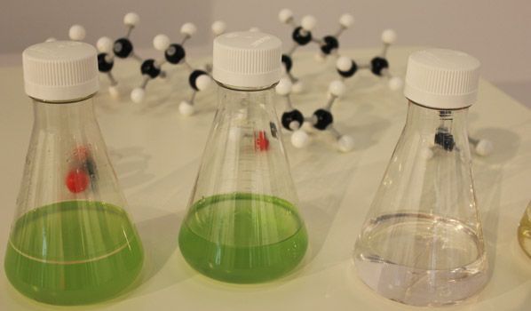 Diesel y etanol a partir de bacterias: ¡a trabajar, microbio! 