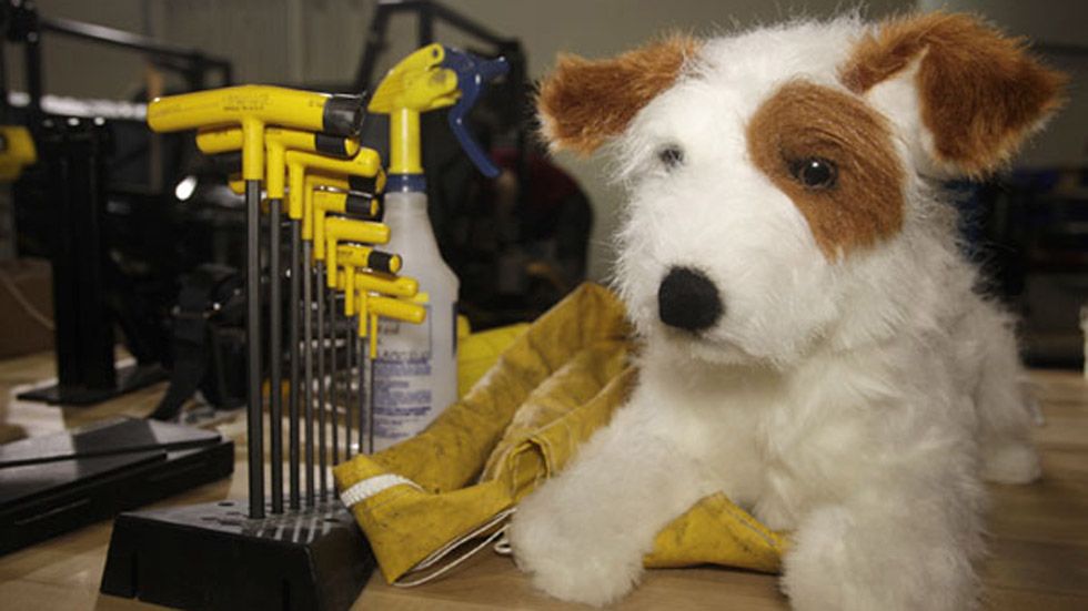 El perro dummy: el salvador de los perros en el coche