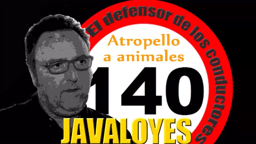 El defensor de los conductores: ¿quién paga si atropellas a un animal?
