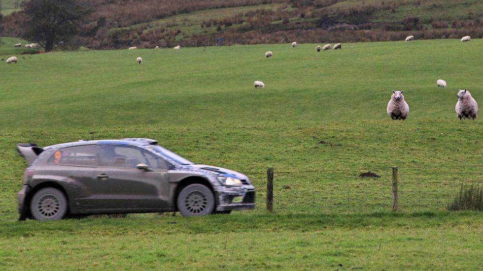 Previo Rallye de Gales – Pelea en el barro