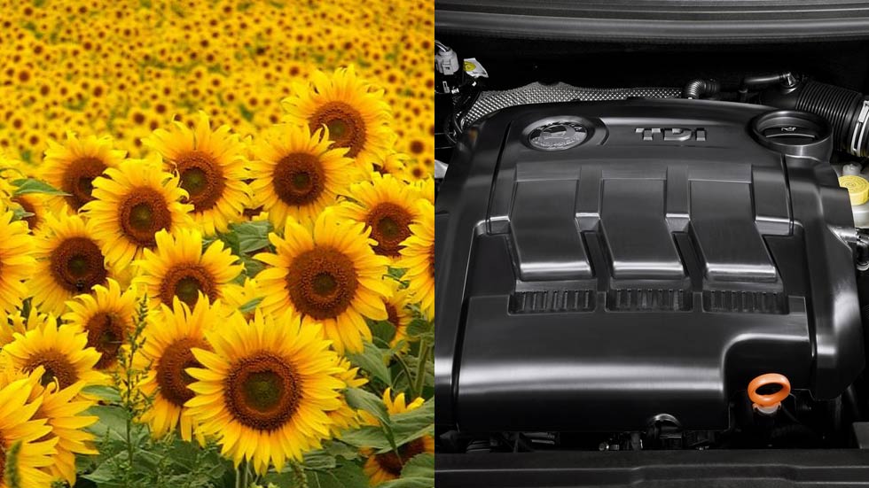 Dudas: ¿puedo echar aceite de girasol a un motor Diesel?