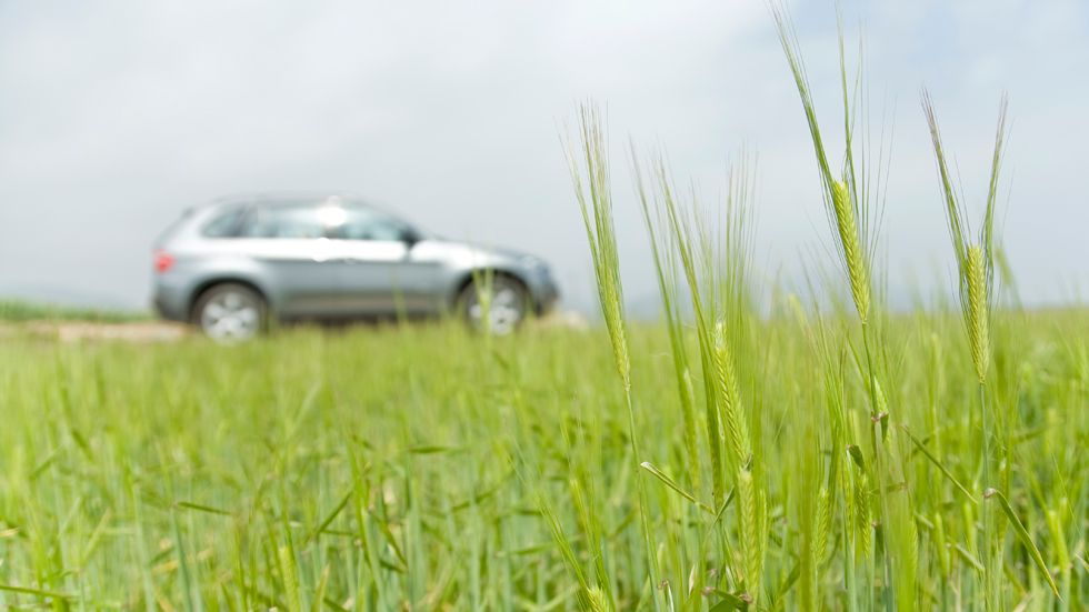 Puede que tu coche se haya fabricado con trigo, soja y/o arroz