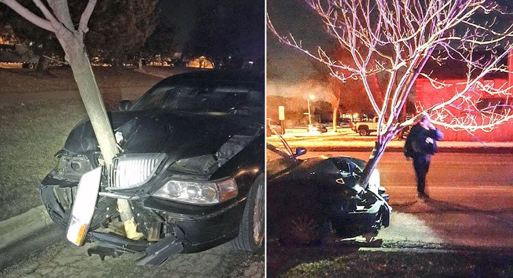 Con un árbol en el capó, en dirección contraria y borracha (vídeo)