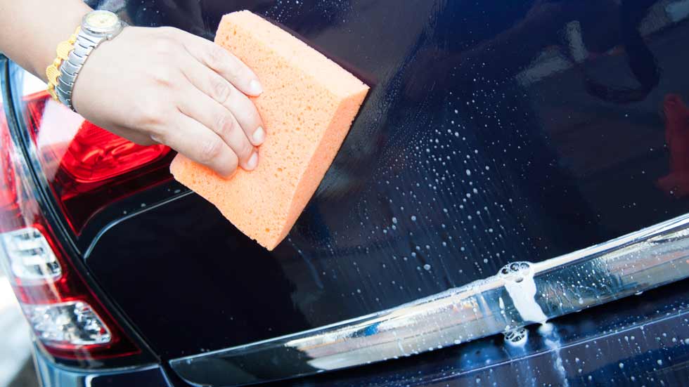 ¿Mosquitos en tu coche? Cómo quitarlos de forma fácil
