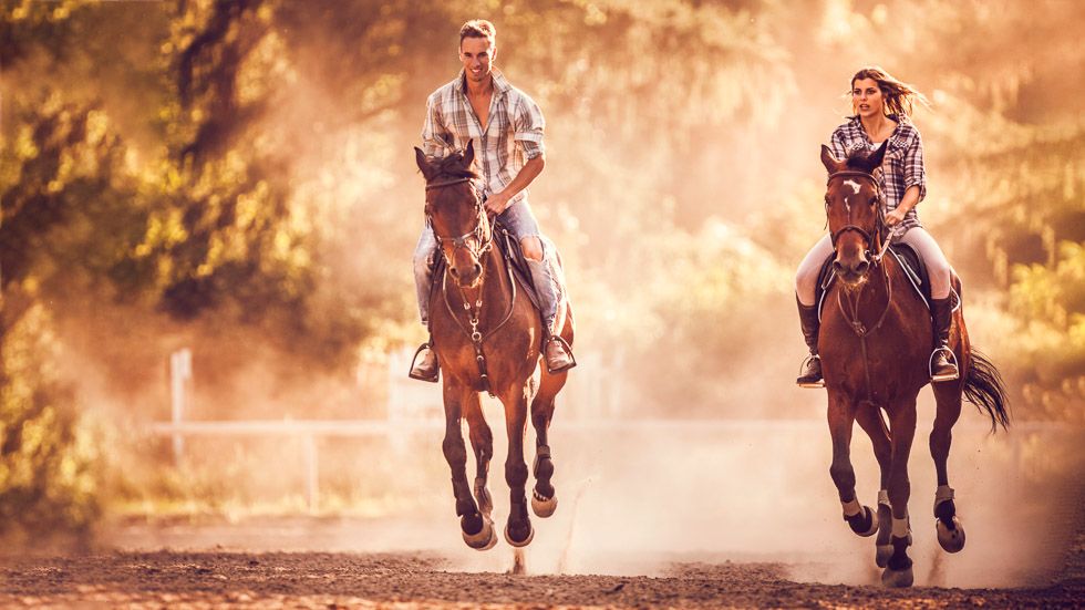 ¿Serán los coches no autónomos como caballos en 20 años?