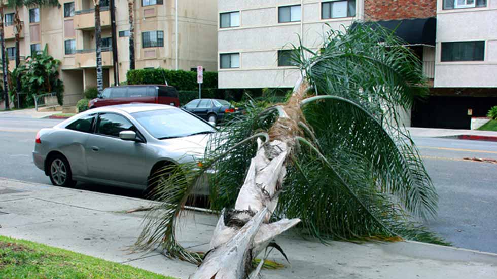 Coches destrozados por el viento y las lluvias de la tormenta Ana: ¿lo cubre el seguro?