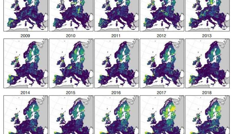 Superficie forestal mapaEuropa
