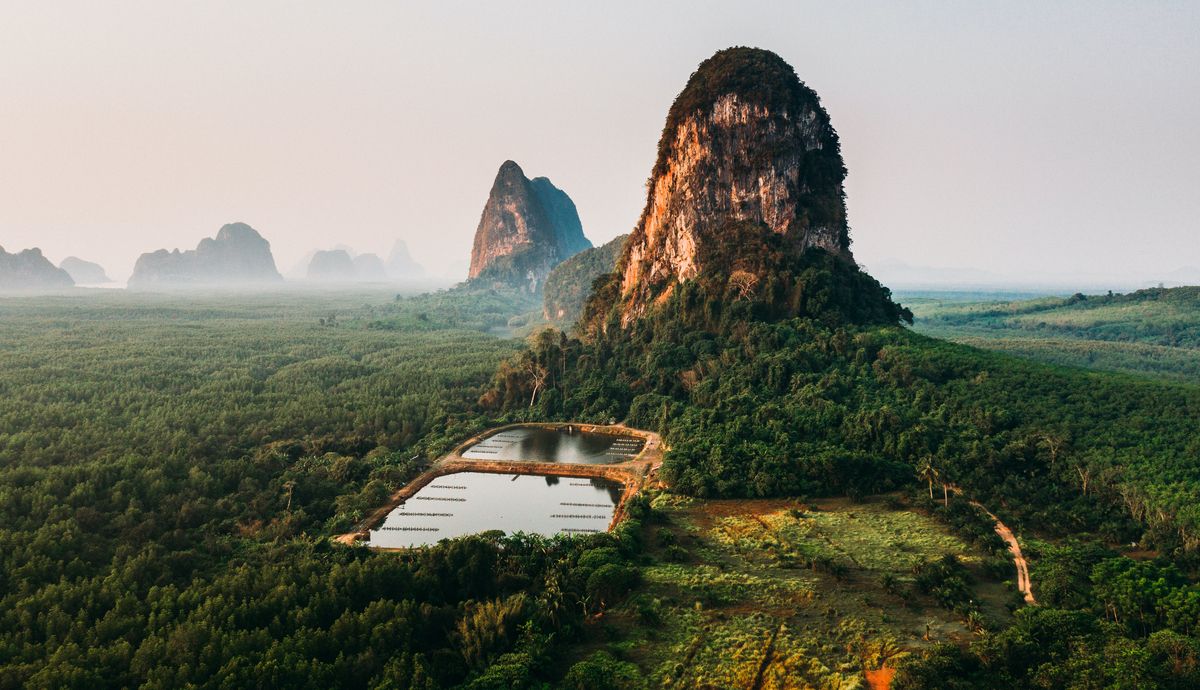 Foto: iStock.