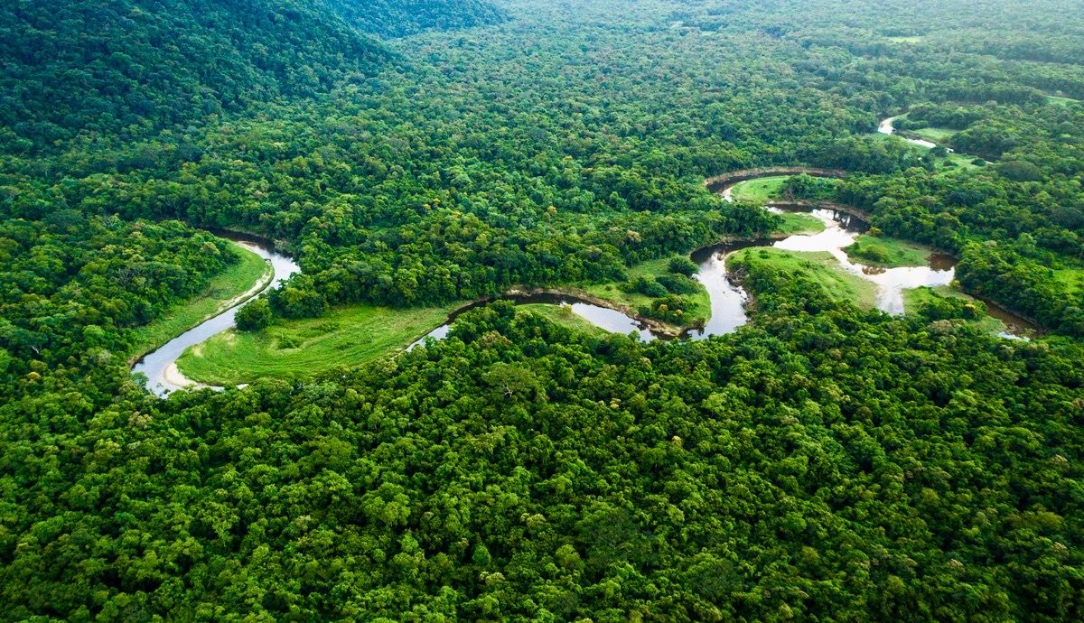 Comprender el impacto del cambio climático en los bosques tropicales permitirá identificar las zonas más vulnerables.