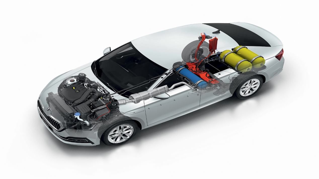 Skoda Octavia G-Tec 2020: la nueva berlina de gas, en imágenes