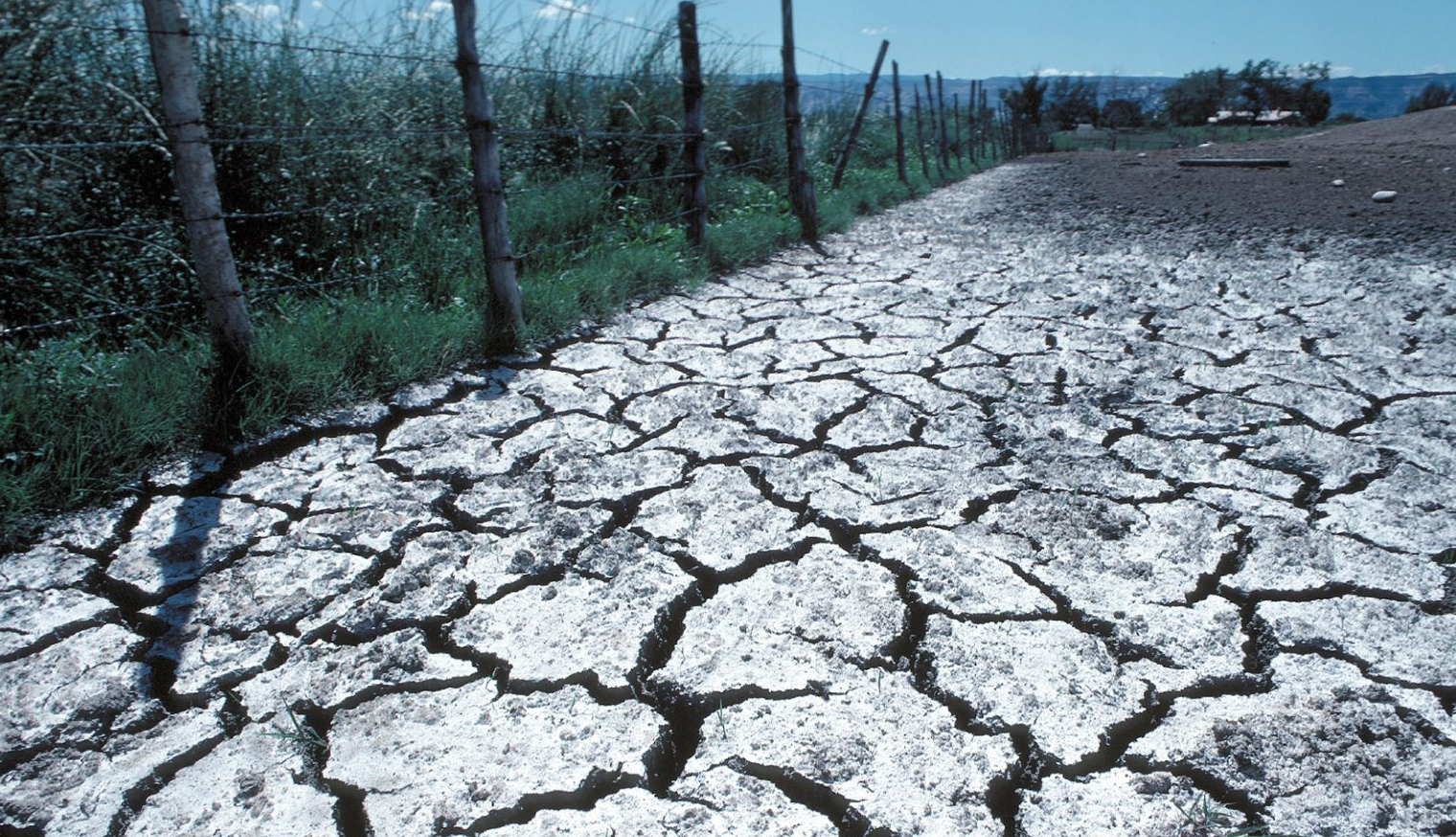 Foto: Tim McCabe, USDA NRCS / IRTA