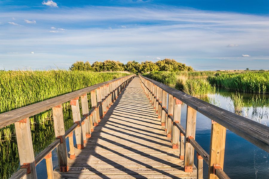 El Parque Nacional de las Tablas de Daimiel incrementa su superficie inundada.