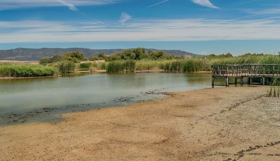 El Parque Nacional de las Tablas de Daimiel ha incrementado en 60 hectáreas la superficie inundada El Parque Nacional de las Tablas de Daimiel ha incrementado en 60 hectáreas la superficie inundada