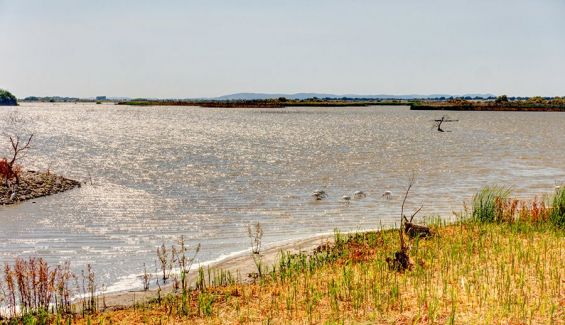 El encharcamiento máximo de las Tablas de Daimiel se producirá en los meses de primavera y verano. El encharcamiento máximo de las Tablas de Daimiel se producirá en los meses de primavera y verano.