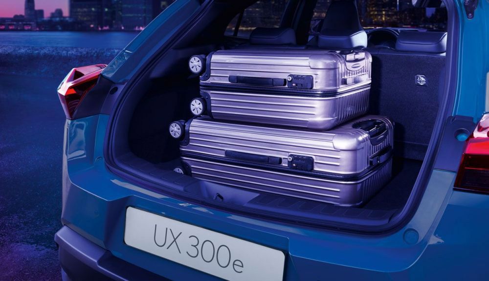 Lexus UX 300e.