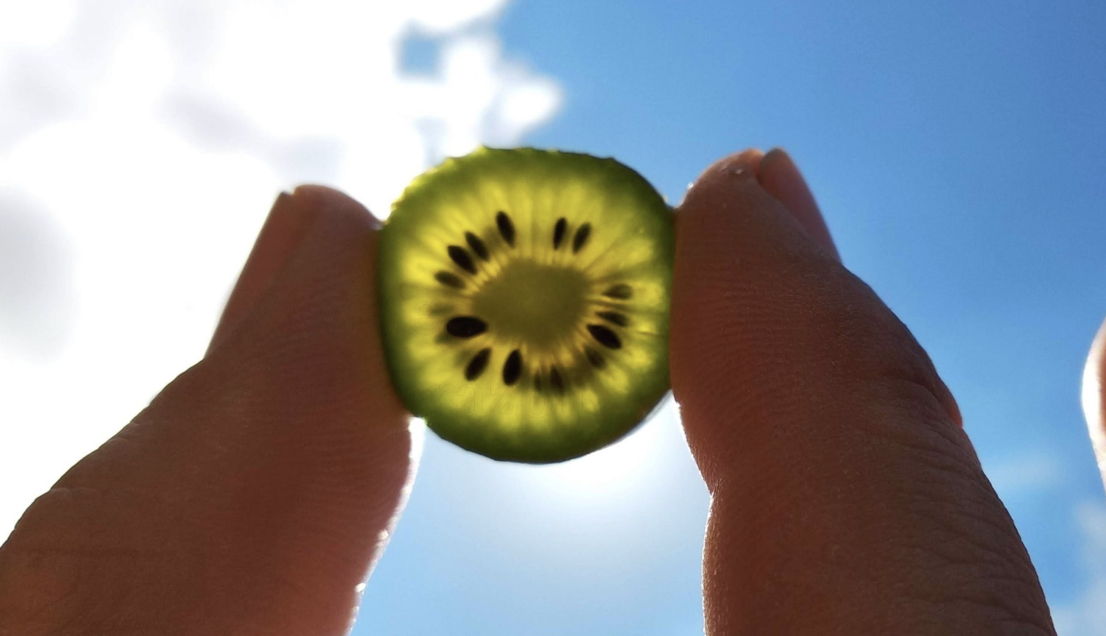 Minikiwis con corazón de Kiwinbio
