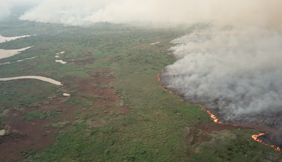 Incendios en el Pantanal, Bolivia. Foto: Leandro A Luciano