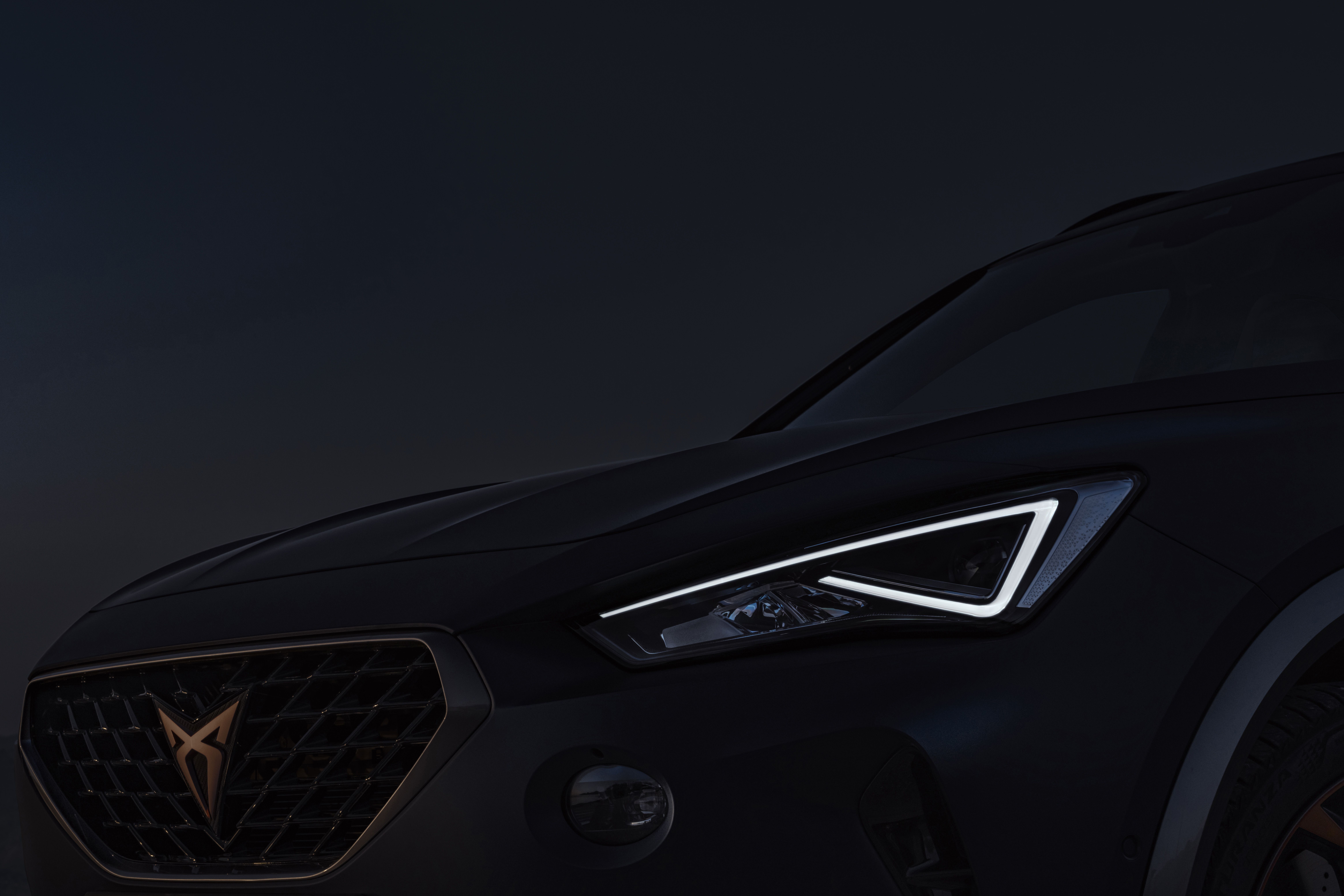 CUPRA Formentor (34)