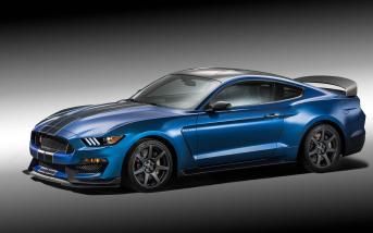 shelby5.jpg