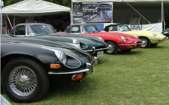 jaguar2.jpg