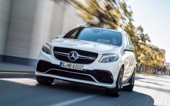 gle7.jpg
