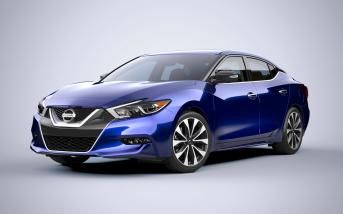 maxima01.jpg