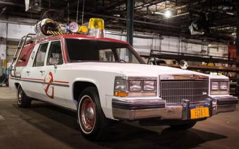 ecto101.jpg