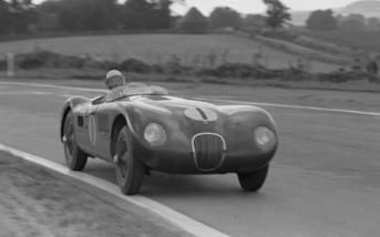 jaguarctype195201.jpg