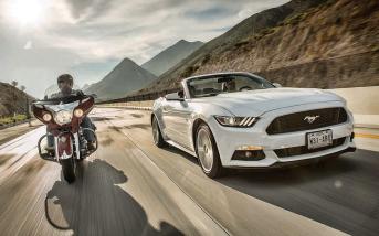 indianfordmustang01.jpg
