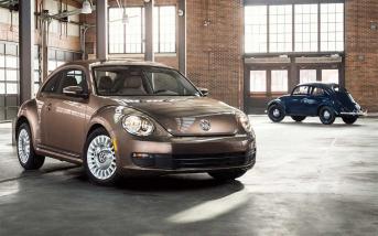 beetle-1.jpg