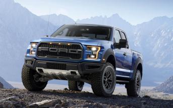raptor1.jpg