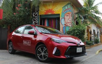 apertura_corolla.jpg apertura_corolla.jpg