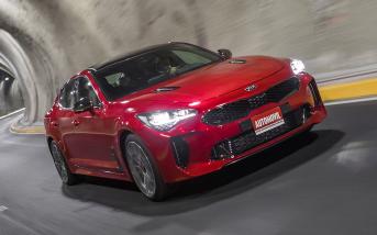 kiastinger04.jpg