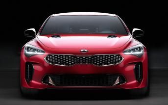 kiastinger20121.jpg